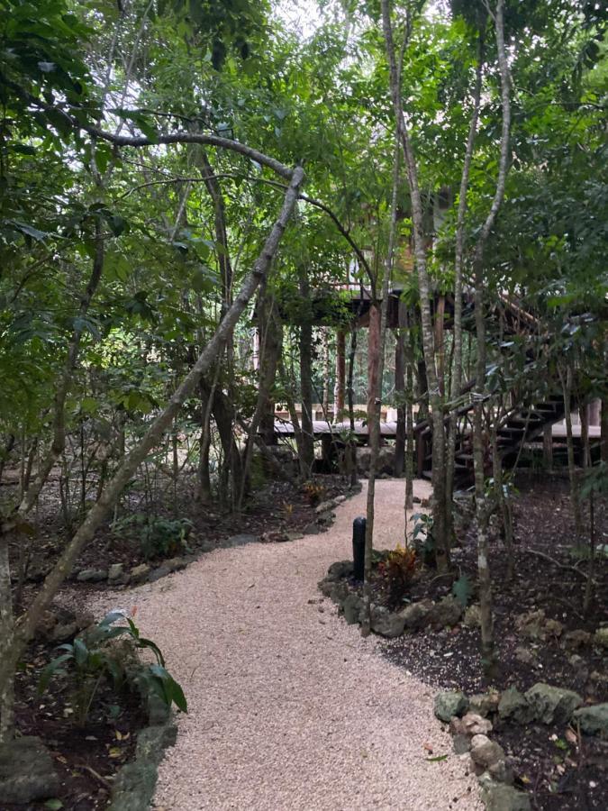 Xoot Ka’ana Fantasía Apartamento